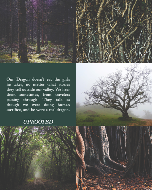 Uprooted, Naomi Novik