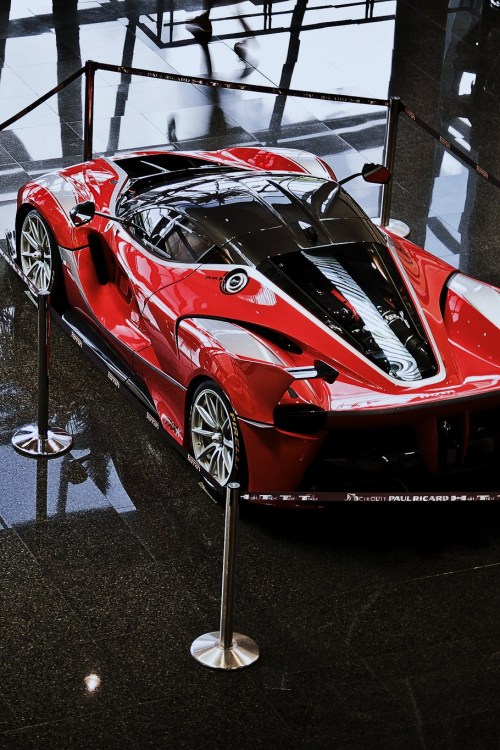myheartpumpspetrol:FXXK | Source