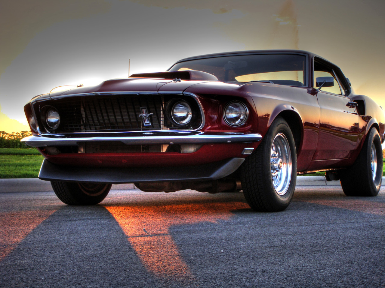 JUST THE COOLEST MUSTANGS