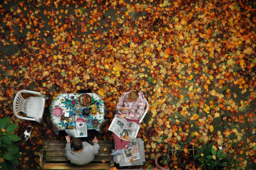 autumncozy:By Dora Reis