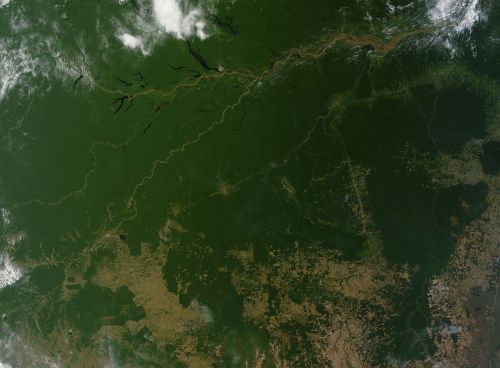 A little deforestation goes a long wayIn 2012, Brazil passed a new version of its forest management 