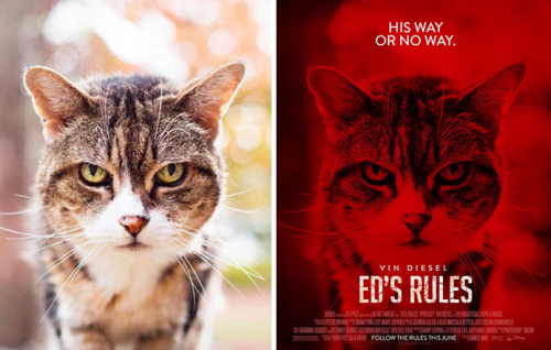 makeuphall:This Guy Is Turning Random People’s Photos Into Movie Posters (+22 posters)
