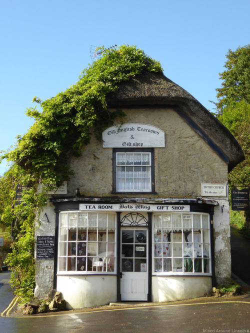 Tea room, Isle of Wight