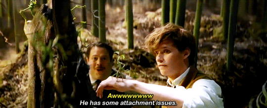 pottersource:#tbh i wouldn’t wanna leave newt’s side either 