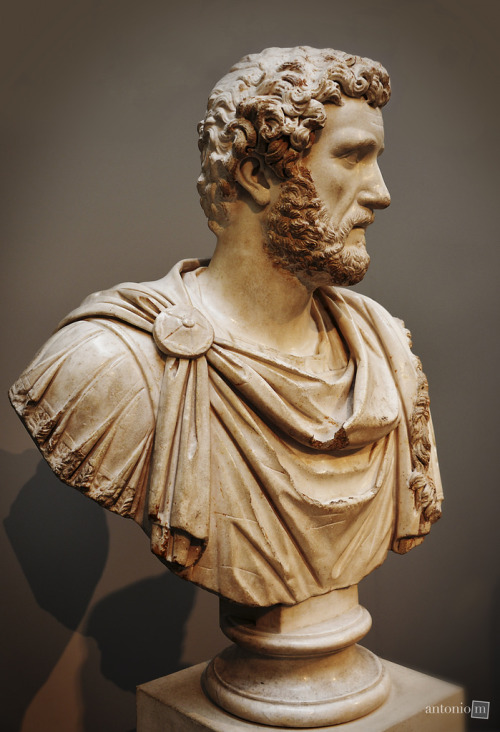ganymedesrocks:  antonio-m:   	Emperor Hadrian, British Museum, London    excellent picture