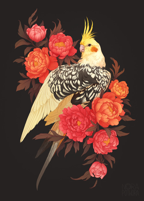  Working on this one was a lot of fun! I love to draw birds but unfortunately do that very rarely. T