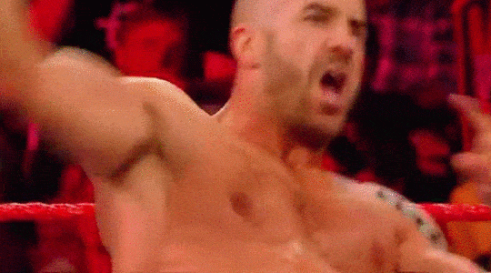 wrestlingsexriot:Cesaro’s pecs are incredible