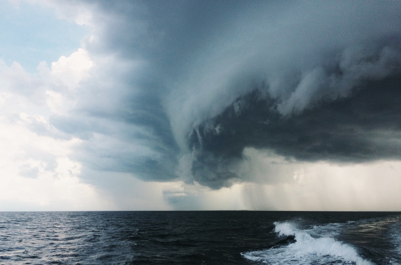 danielodowd:  http://camerondaigle.vsco.co/