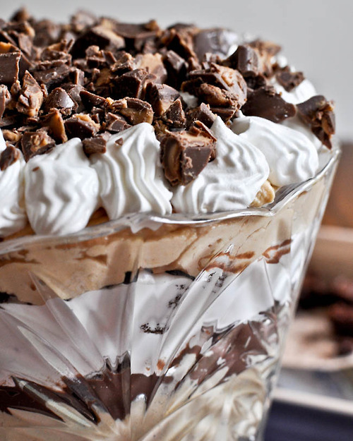 do-not-touch-my-food:  Recipes Inspired By Brownies Chocolate Chunk Brownie Sticks White Chocolate Chip Skillet Brownie Peanut Butter Fudge Brownie Trifle Fudge Brownie Pancakes with Chocolate Sauce Brownie Cookies Chocolate Cream Pie Brownies Brownie