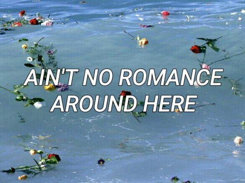 a certain romance - arctic monkeys