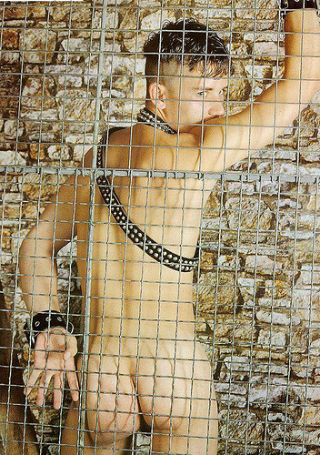 Porn photo Does this cage make my butt look too big?