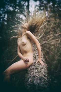 blootje:  Tree Flick by -RojSmith-   500px:
