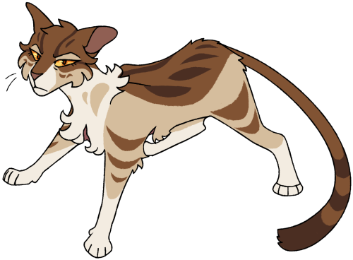 “No matter what, there is one thing SkyClan will always do. We will protect one another.” —Leafstar