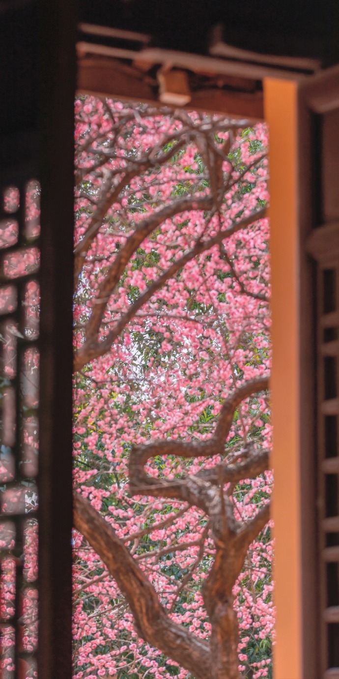 Spring Is Not Far, Tiefosi, Huzhou, Zhejiang Province In China (cr  猪甜菜的旅行手记)