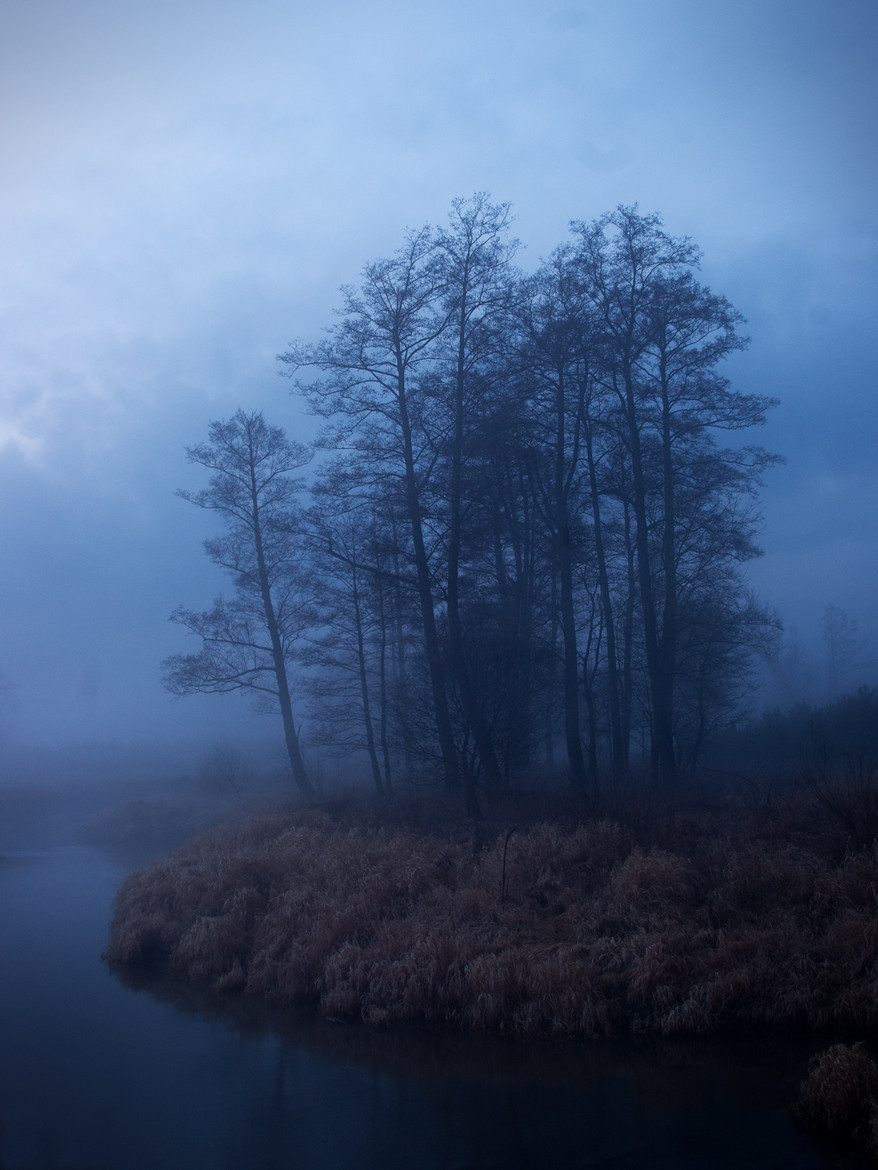 darkface:(via 500px / fog on the river by Krzysztof W.)