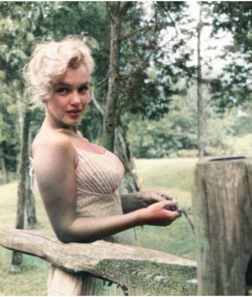 Porn photo Marilyn Monroe by Sam Shaw Nudes & Noises