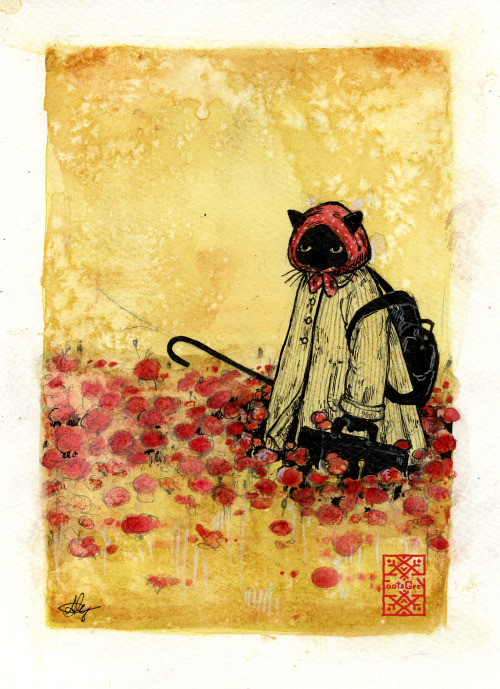 Stray.