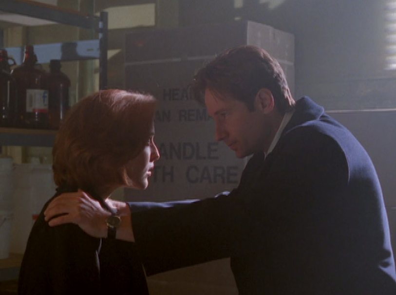 The signs as our favorite out-of-context x-files screen-caps.