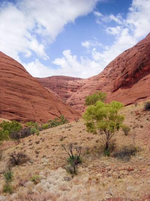 2005: 36 conglomerate domes make up Kata Tjuta (formerly known as The Olgas), which are 40km west of