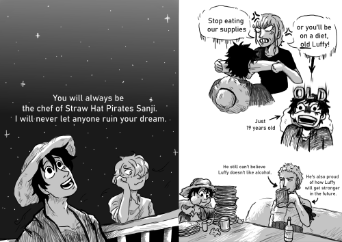 19 Year Old Luffy Meets His Crew Before The Time Skip