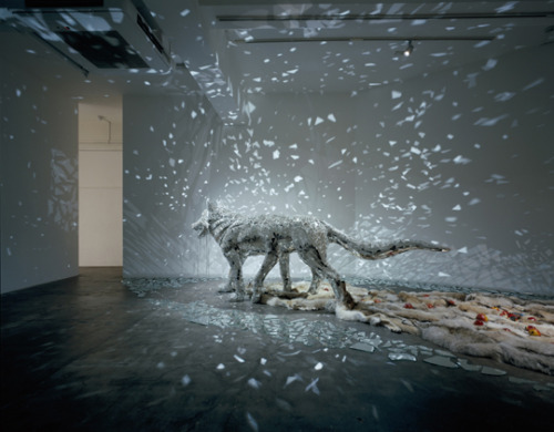 dawnawakened:  Konoike Tomoko, “The Planet is Covered in Silvery Sleep” (2006) “Multi-discplinary artist Tomoko Konoike works with crystalline structures, whether drawing them with graphite or building them from broken mirrors and glass. The