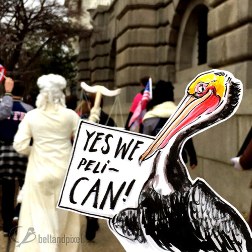 My miniature birb marchers from the Women’s March on Washington DC. Bird made with bristol board, in