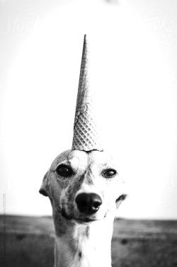 askun:A cone head