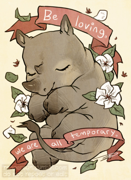reapersun:reminder series: bleak yet comforting thoughts.i specifically chose animals that are (or b