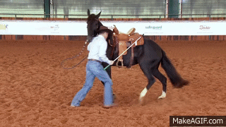 goodhorsekeeping:  sabino-spots:  iracebarrels:  themotherfuckingclickerkid:  Today
