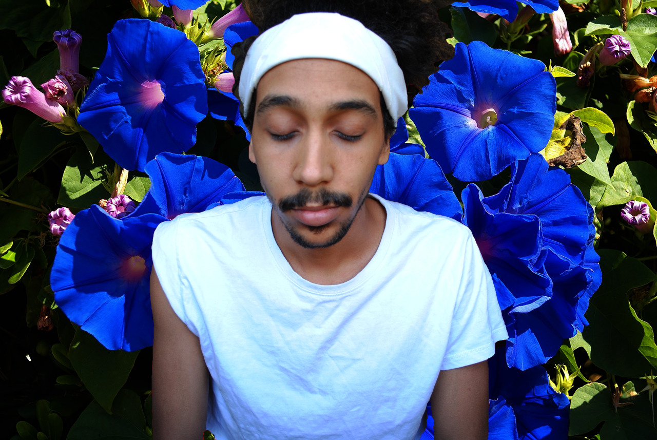 ilsuonodellatromba:  liamgavynsalt:  Plant Boy pt. 27  I need a signed coffee book