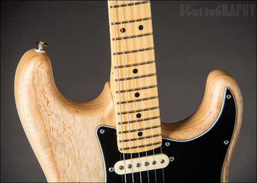 thedailygit:  Fender American Standard Stratocaster, adult photos