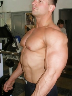 worldbodybuilders:  Gerardo Repollo.