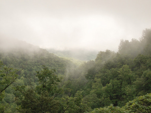 Whiteoak Canyon by districtinroads on Flickr.