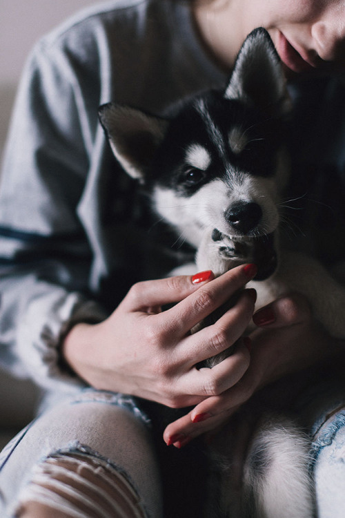 envyavenue:  Archi by Draya Danilova.