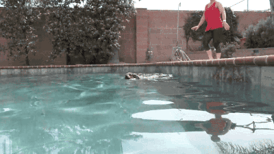 gifsboom:  El major gif para mi 