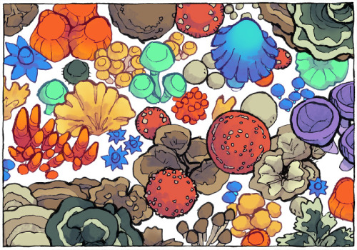 My new map assets are out! In this pack there are 71 colorful mushrooms and fungi, as well as a smat