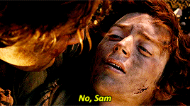 arwenns:lotr meme: 10 scenes [10/10] 