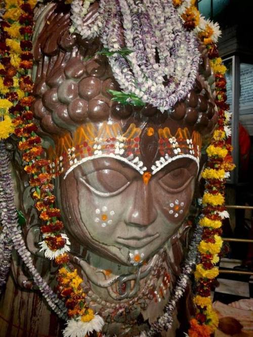 Lord Shiva at Pashupati lingam, Mandsaur temple, Madhya Pradesh