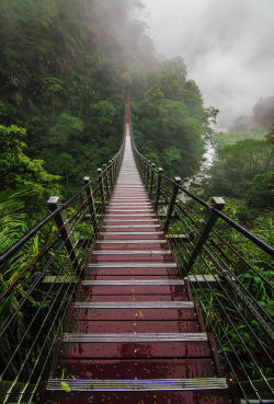 ponderation:  Into The Heart Of Taiwan by