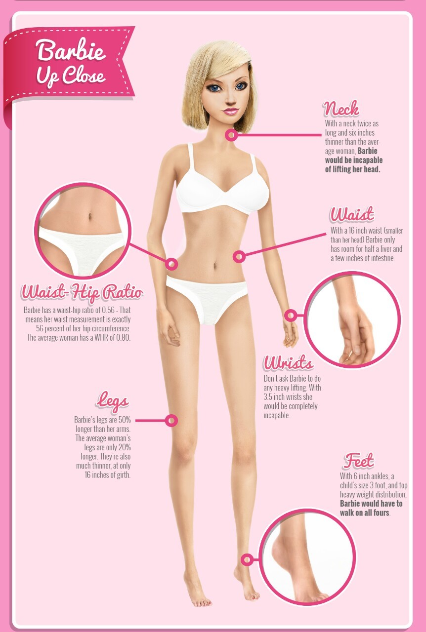 Human barbie body measurements