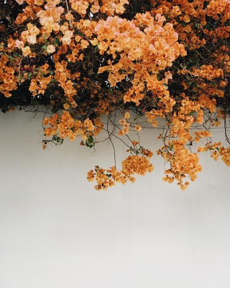 histinworld: 