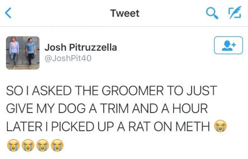 thecommonchick:  I’M SCREAMING 😂😂 