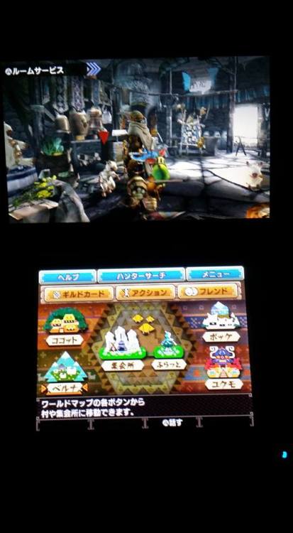 If you guys want to know how to get the bonus items for having Monster Hunter 4G and Poka Poka Villa