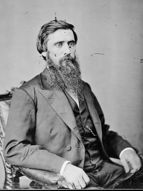 Brigadier General John A Rawlins (Union) To describe Rawlins’ beard as straggly would be an un