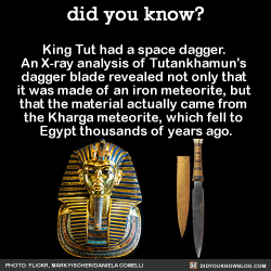 did-you-kno:King Tut had a space dagger.  An X-ray analysis of Tutankhamun’s  dagger blade revealed not only that  it was made of an iron meteorite, but  that the material actually came from  the Kharga meteorite, which fell to  Egypt thousands of years