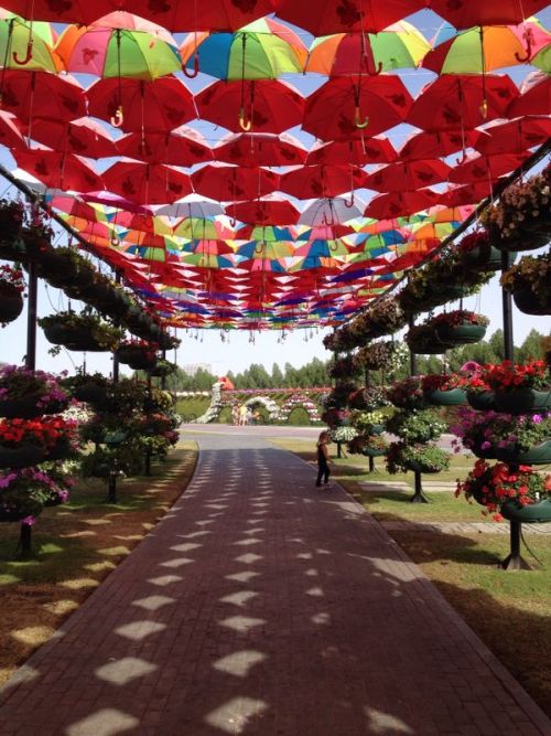 Miracle Gardens Dubai