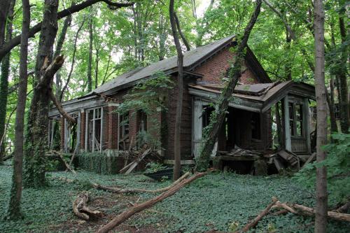 letsbuildahome-fr: Abandoned Island in the Middle of NYC Located in between Queens and the Bronx, in