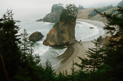 lostinthewhiteroom: groovin down the oregon coast website / instagram / prints