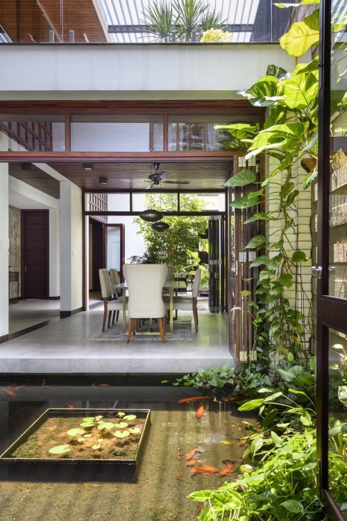 Modern Indian House With A Beautiful Indoor Pond [Video]