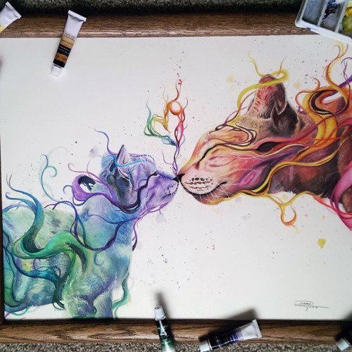 mrsharrisonford:  Dany Lizeth, 17 year old self-taught artist.http://www.boredpanda.com/realistic-watercolor-paintings-colored-pencil-dany-lizeth/